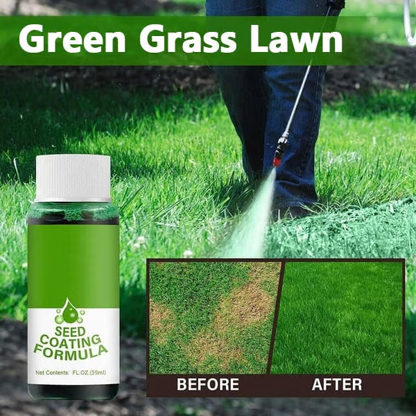 🔥Last Day 70% OFF🌱Hydro Seeding Lawn Solution