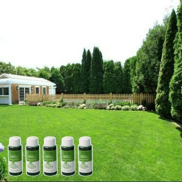 🔥Last Day 70% OFF🌱Hydro Seeding Lawn Solution
